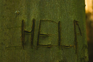 Tree trunk, detail, help Tree trunk, detail, help